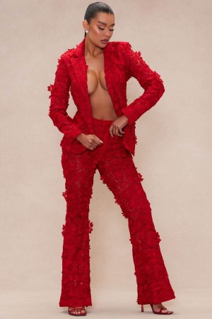 Spodnie Fashion Nova Denise Embroidered Damskie Czerwone Polska | 467952TSB
